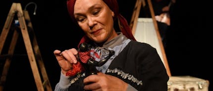 Klovna ne bo